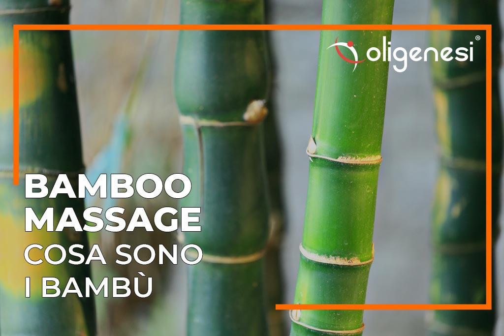 Bamboo Massage: la tecnica di massaggio con le canne di bambù